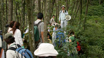 20080806_03.jpg