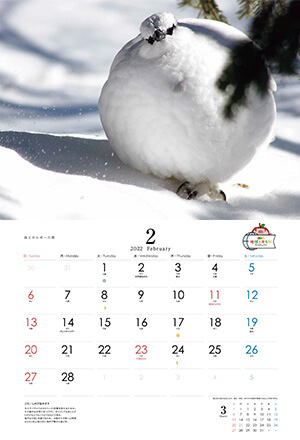 カレンダー「雷鳥の四季 2022」・２月