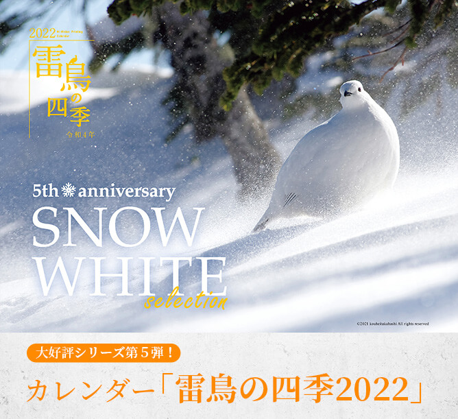 Abn 長野朝日放送 カレンダー 雷鳥の四季 22 Abn 長野朝日放送 カレンダー 雷鳥の四季 22