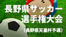 長野県サッカー選手権大会