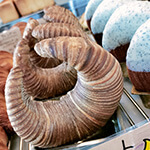 パン アトモス｜abn駅前パンショップ
