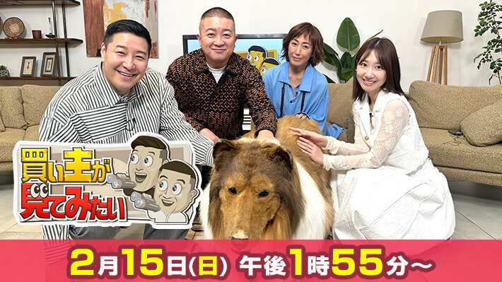 2/15(日)「買い主が見てみたい」