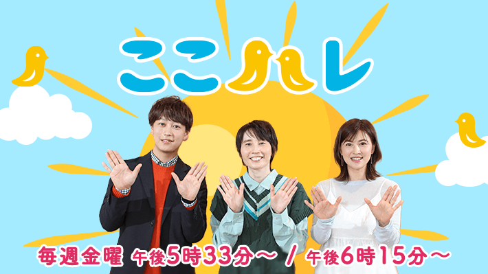 ここハレ放送後に出す