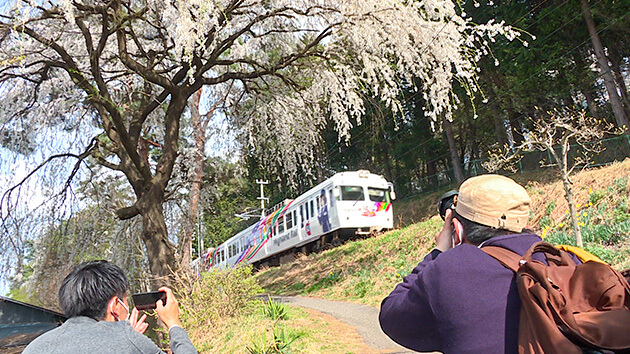 桜・上高地線 のベストスポット｜春らんまん！上高地線で途中下車