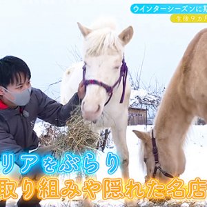 期待のウインターシーズン！白馬エリアをぶらり 後編（2023年1月15日 日曜 午前10時30分）