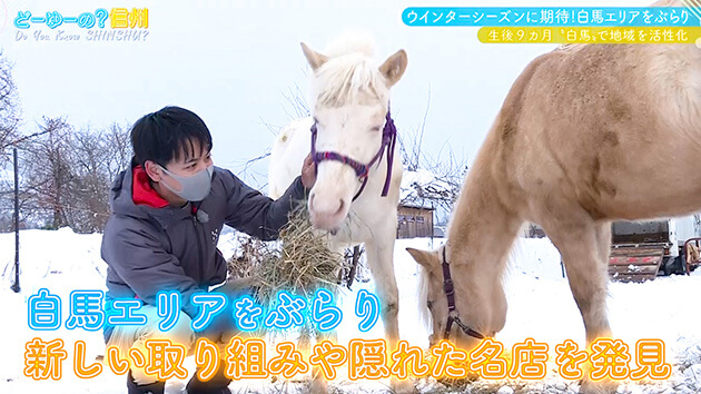 期待のウインターシーズン!白馬エリアをぶらり 後編