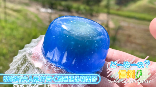 南から北へ！テイクアウトグルメの旅 その１