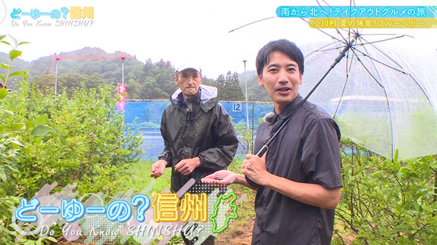 南から北へ！テイクアウトグルメの旅 その19