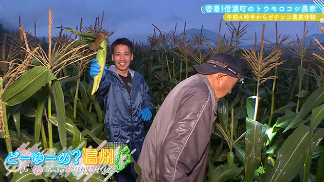 密着！信濃町のトウモロコシ農家