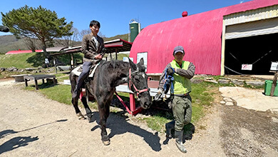鷹山ファミリー牧場（長和町）｜テイクアウトグルメの旅 長和町・立科町編