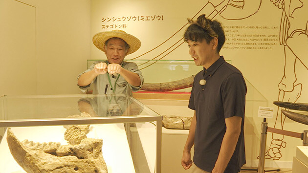 化石・戸隠地質化石博物館