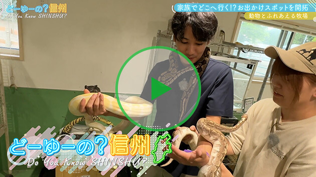 家族でどこへ行く！？お出かけスポットを開拓（6）