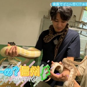 家族でどこへ行く！？お出かけスポットを開拓（6）（2025年9月7日 日曜 午前10時）