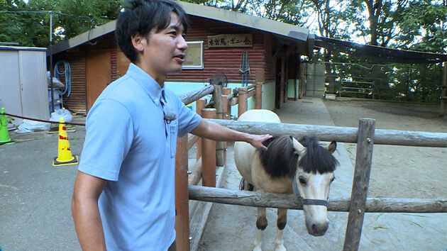 サマーナイトZOO 茶臼山動物園（長野市）