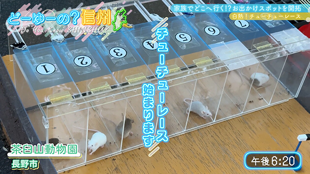 家族でどこへ行く！？お出かけスポットを開拓（7）