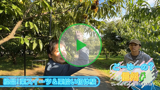 秋に食べたいアレ その（2）