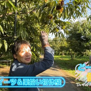 秋に食べたいアレ その（2）（2025年10月26日 日曜 午前10時）