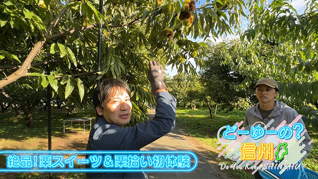 秋に食べたいアレ その（2）（2025年10月26日 日曜 午前10時）