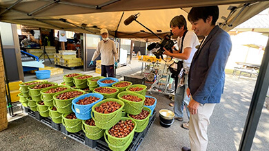 栗（小布施町）秋に食べたいアレ その（2）（2025年10月26日）
