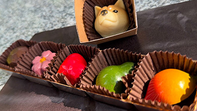 犬チョコ（アンド チョコレート（・須坂市）