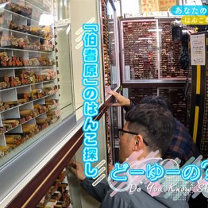 あなたのお名前どーゆーの？（12）（2025年11月30日 日曜 午前10時）