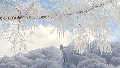 霧氷（野沢温泉スノーリゾート）