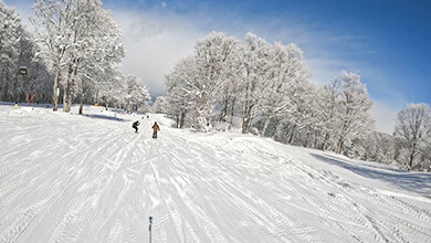 ゲレンデ（野沢温泉スノーリゾート）
