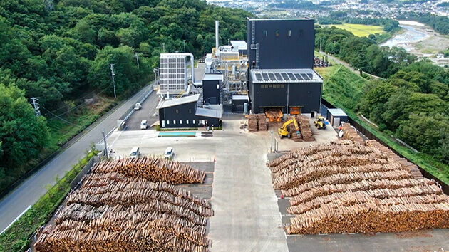 木の魅力を堪能する（2020年9月26日 土曜 午後4時）