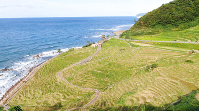 新！秋の石川よくばり旅（2020年10月31日 土曜 午後3時30分）