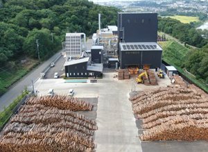 木の魅力を堪能する（2020年9月26日 土曜 午後4時）