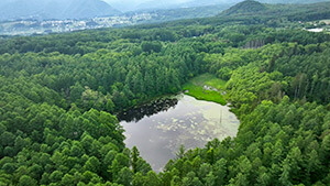 目的地に到着！大自然の中で味わう「おやつ」｜新発見！初夏の戸隠をEバイクで散策（信州をカーナビ ＵぐるっＴＶ 2023年6月24日 土曜 午後3時30分）