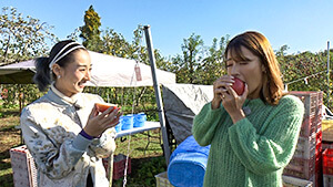 名産地・飯綱町でりんごを調査！｜新感覚！りんごの活用と未来のクルマ大集合（信州をカーナビ ＵぐるっＴＶ 2023年11月25日 土曜 午後4時）