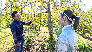 名産地・飯綱町でりんごを調査！｜新感覚！りんごの活用と未来のクルマ大集合（信州をカーナビ ＵぐるっＴＶ 2023年11月25日 土曜 午後4時）