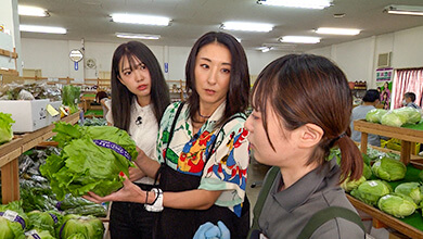 軽井沢食材でオリジナルサンドイッチづくり２｜自然をまるごといただき！軽井沢満腹旅（信州をカーナビ ＵぐるっＴＶ 2024年8月31日 土曜 午後4時）