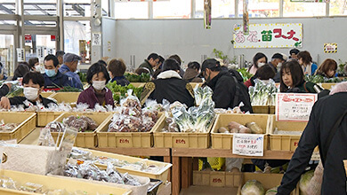 中野市で発見！生産量日本一の食材とは｜HOTな新常識！カラダ喜ぶ北信濃の旅（2024年12月28日 土曜 午後4時）