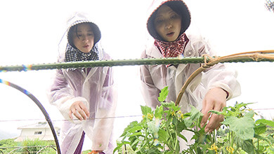 辰野町のブランド野菜「ずくだせトマト」とは!?｜信州を食べつくせ！地域の魅力発掘旅～夏休み編～（2025年7月26日放送）
