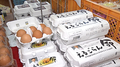 「特別な卵」を使ったプリン｜“オイシイ”が満載！信州の食再発見旅 篇（2025年9月27日放送）