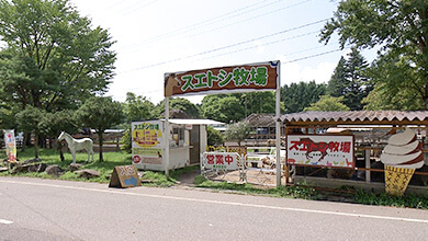 「卵」つながりで触れ合う動物は…｜“オイシイ”が満載！信州の食再発見旅 篇（2025年9月27日放送）