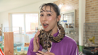 「卵」つながりで触れ合う動物は…｜“オイシイ”が満載！信州の食再発見旅 篇（2025年9月27日放送）