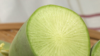 新感覚な希少野菜　「うえだみどり大根」（UぐるっTV・2026年2月28日）