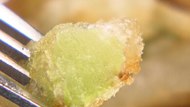 彩り豊かなオリジナル料理の味は？（UぐるっTV・2026年2月28日）