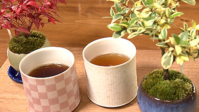サイフォンの魅力を堪能 新感覚カフェ(伝統×革新! 一杯にこめられた美学)