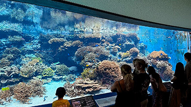 沖縄の海を体験 「美ら海水族館」（UぐるっTV・2026年5月30日）