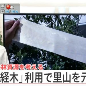 森林資源を考える　「経木」利用で里山を元気に