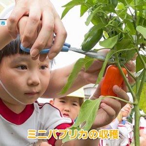 SDGs from 信州（2022年10月13日）