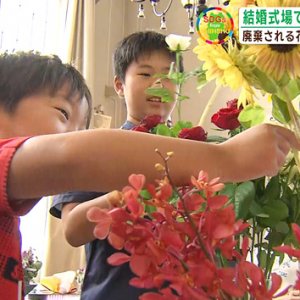 廃棄される花を活用 感謝を込めて（abnステーション 2023年8月17日放送）