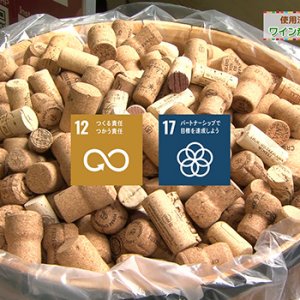 SDGs from 信州（2025年10月23日）