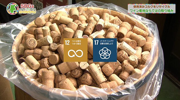 SDGs from 信州（2025年10月23日）