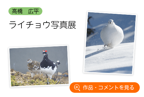 雷鳥写真家・高橋広平