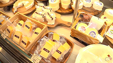 アトリエ・ド・フロマージュ 森のチーズテラス（東御市）｜藤森慎吾の信州観光協会